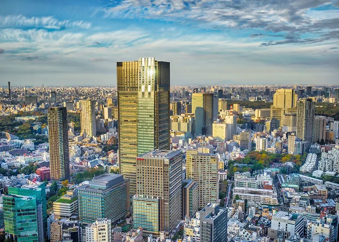 Hotel The Ritz-Carlton, Tokyo